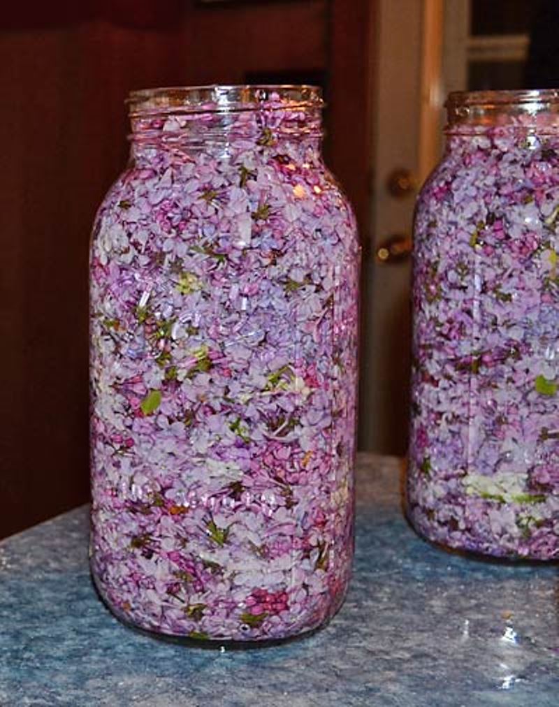 მოასწარით ყვავილობის პიკზე: შეავსეთ ჭურჭელი მცენარეული ზეთითა და იისფერი ყვავილებით